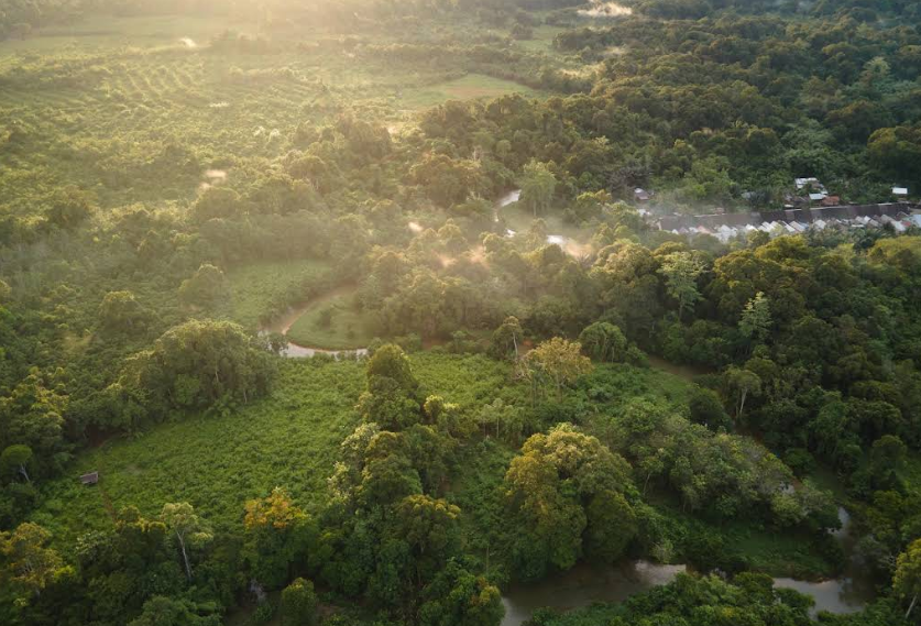 kawasan hutan adat kalimantan - sungat utik