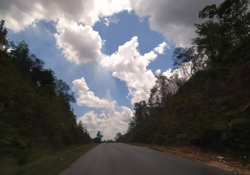 lintas borneo di antara lebatnya hutan