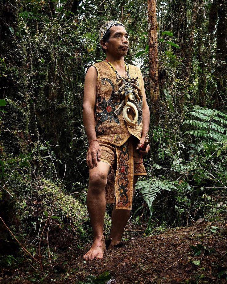 suku dayak penjaga hutan adat kalimantan penunggu gua terakhir