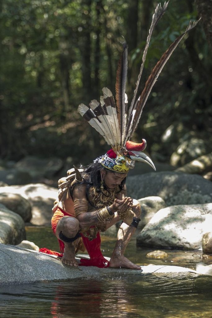 orang dayak - penjaga hutan adat kalimantan yang tak lagi di dengar