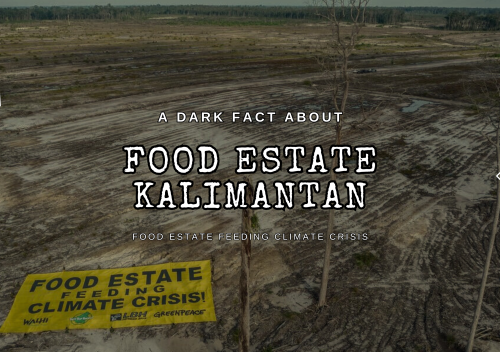 food estate kalimantan