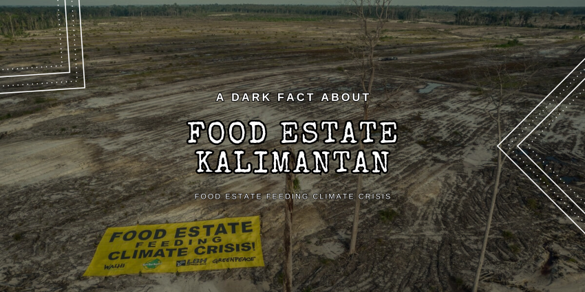 food estate kalimantan
