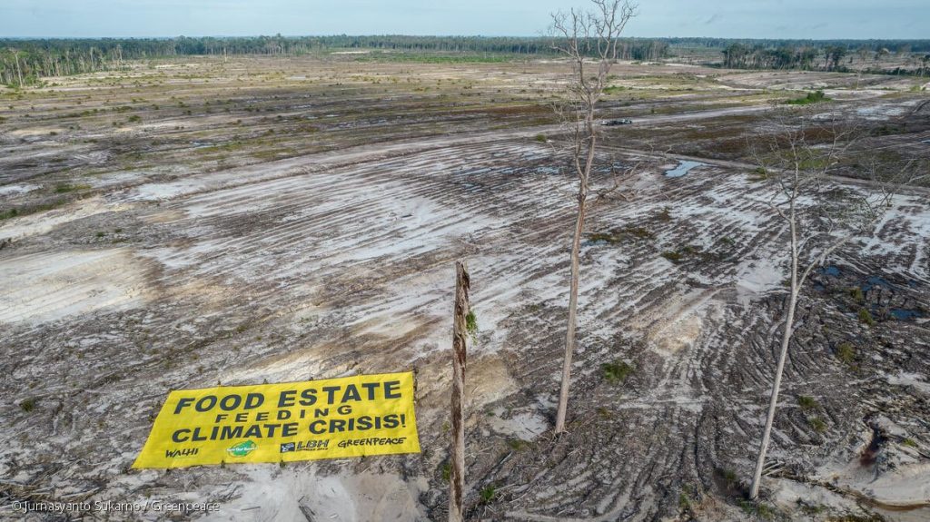food estate
