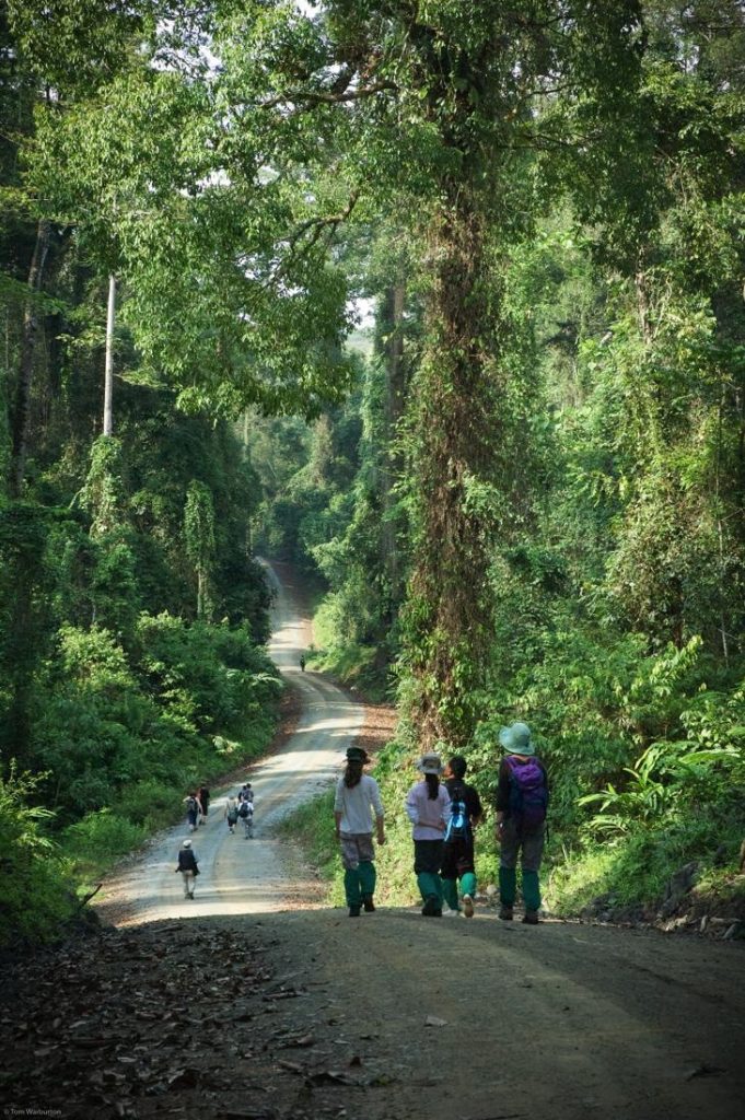 Lembah Danum