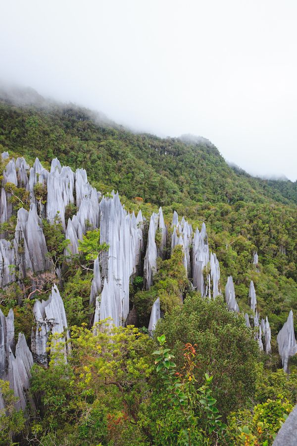 Puncak batu kapur di Taman Nasional Gunung Mulu