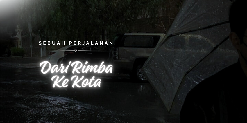 kalimantan hari ini